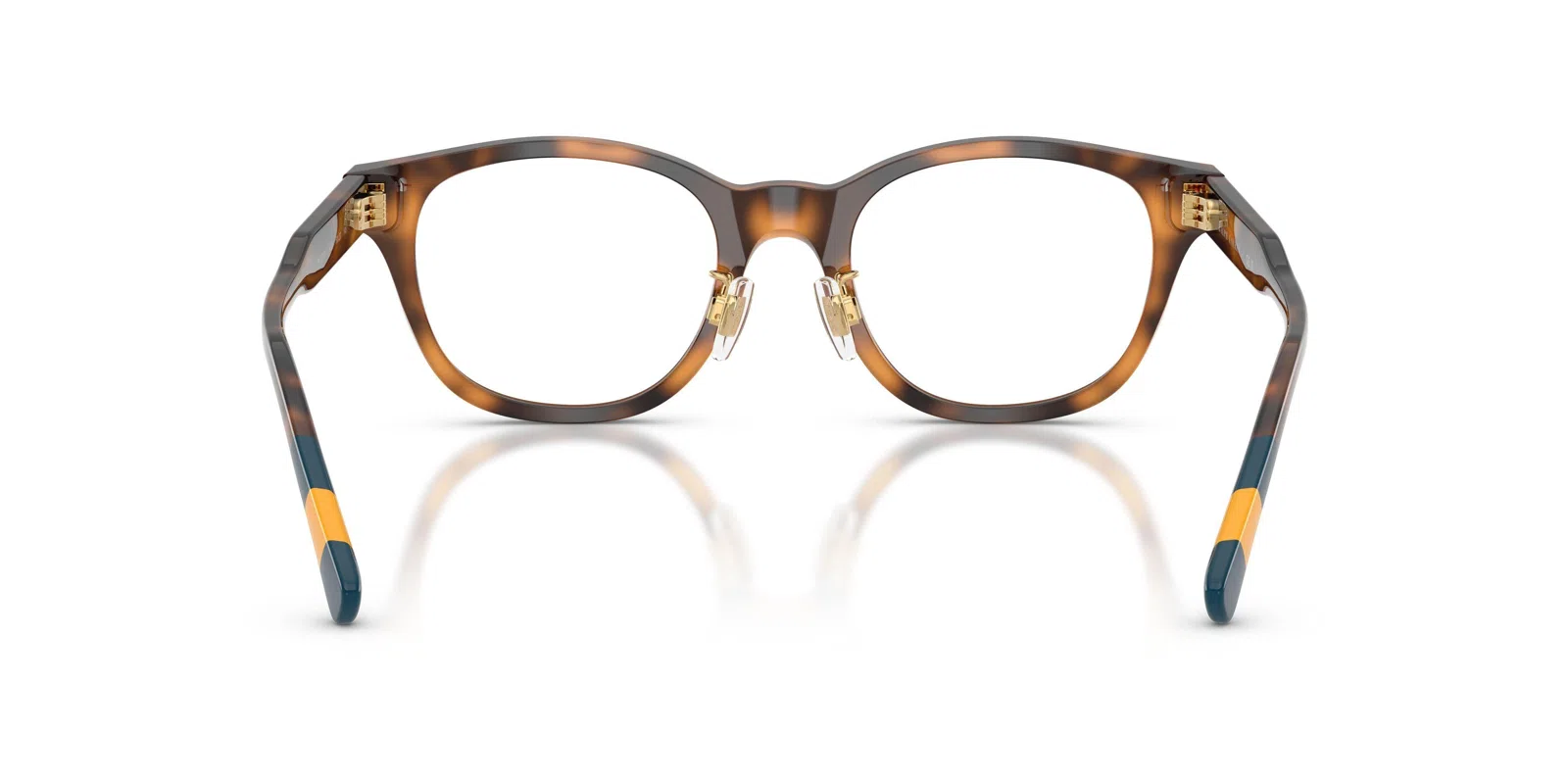 Polo 2303F Eyeglasses - view 8